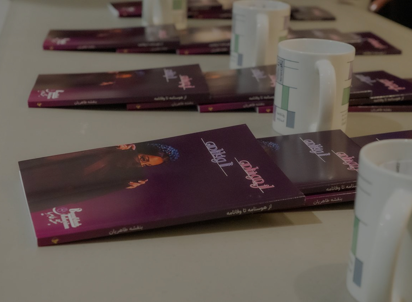 Banafsheh Taherian EMCEE Background